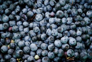 Eat Organice Self-Care Ideas for Widows